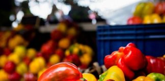 fiera del peperone di carmagnola