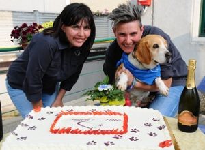onoranze funebri per animali angeli e orme