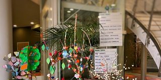 Record di like per l'Albero dei Sogni