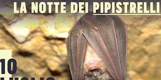 bat night 2018 legambiente