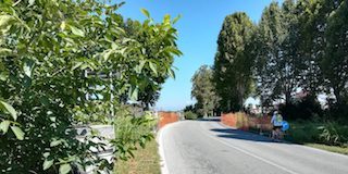 abbattimento alberi Racconigi variante ovest