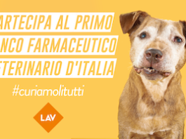 curiamoli tutti banco farmaceutico veterinario LAV