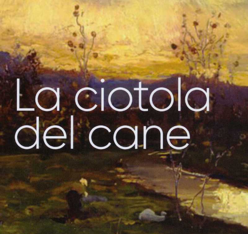 Bertalmia libro La ciotola del cane