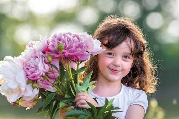 Peonie in fiore
