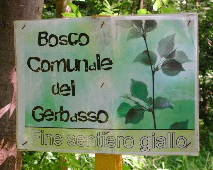 Armi da fuoco al Bosco del Gerbasso: tre denunce