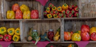 peperoni fiera del peperone carmagnola
