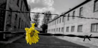 serata della memoria