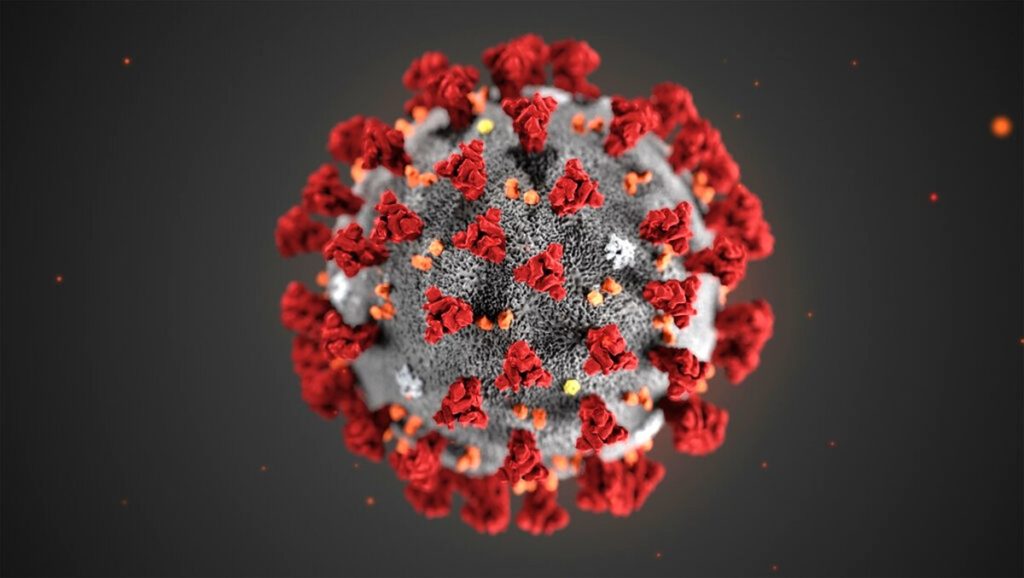 Aggiornamenti sul Coronavirus in Piemonte