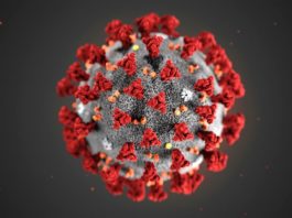 Aggiornamenti sul Coronavirus in Piemonte raccolta fondi Asl TO5