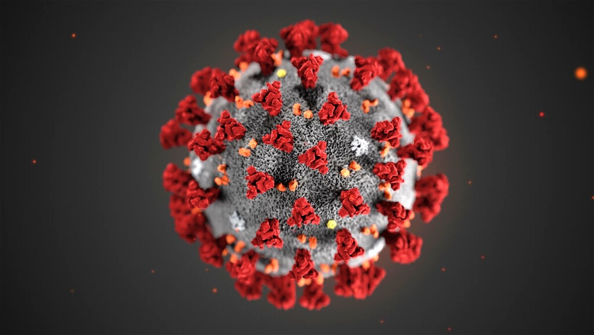 Coronavirus, a Carmagnola la prima persona in quarantena