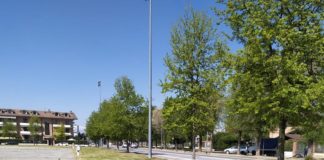 taglio erba carmagnola