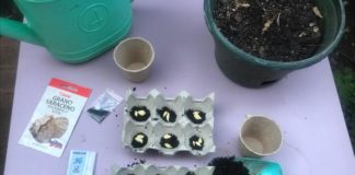 Carmagnola ai tempi del Coronavirus