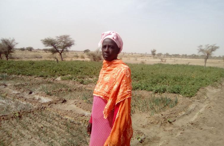 progetto cooperazione carmagnola senegal
