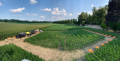 Panoramica Labirinto Racconigi dall'alto