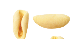 Pasta Berruto cavatelli regionali