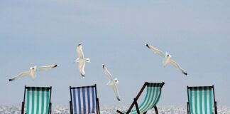 estate 2020 il carmagnolese pausa estiva