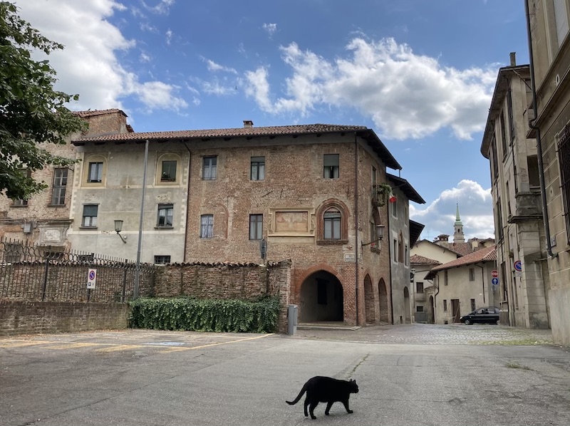 Vivere a Carignano, un sondaggio online tra i giovani