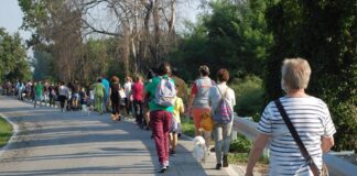 La Passeggiata a sei zampe 2020 a Carmagnola [foto LAV Carmagnola - Facebook]