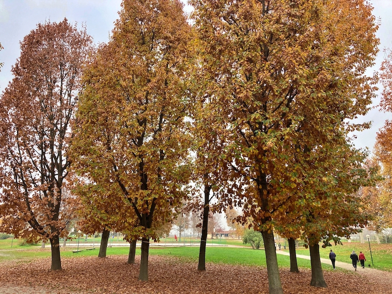Parco Cascina Vigna ph Francesco Rasero Il Carmagnolese