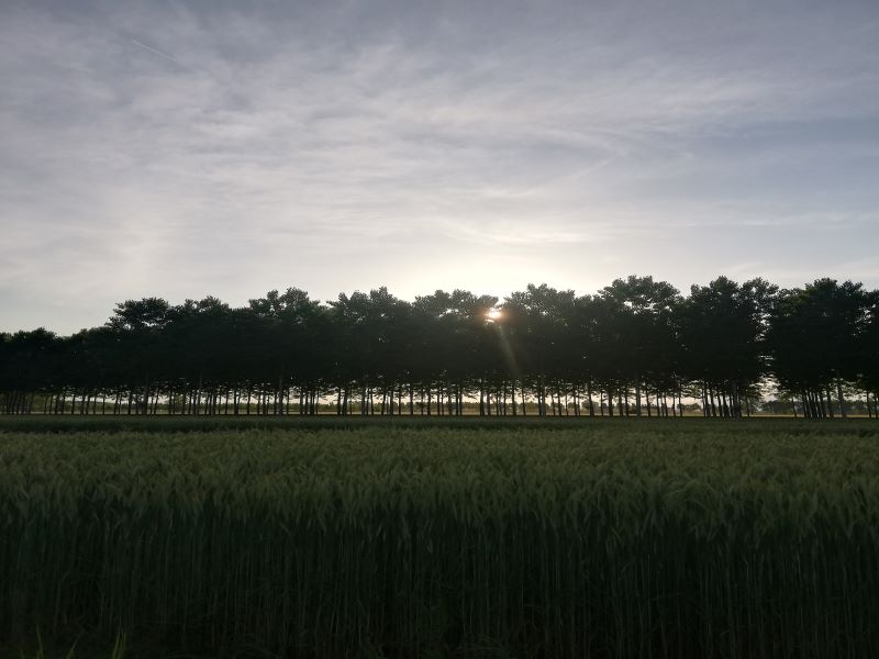 Terreni agricoli comunali in affitto a Piobesi