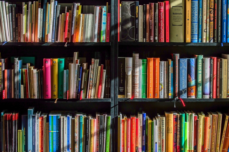 biblioteca la loggia