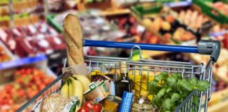 buoni spesa alimentari carmagnola