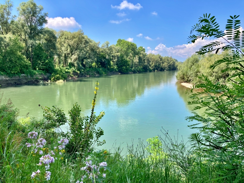 Nuovo Direttivo per l'Ente Parco del Po