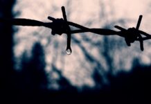 Giornata della Memoria Carignano 2026