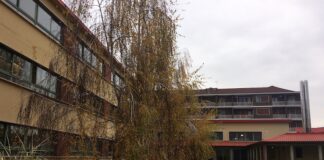 orientamento scolastico carmagnola