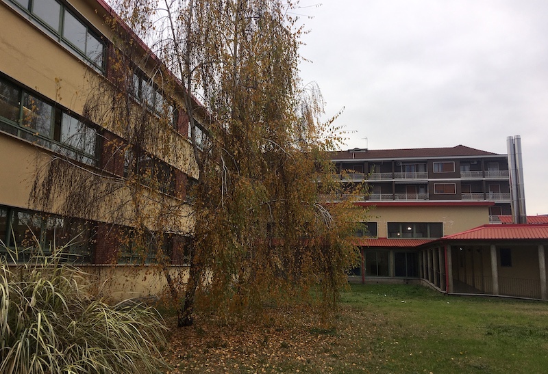 orientamento scolastico carmagnola
