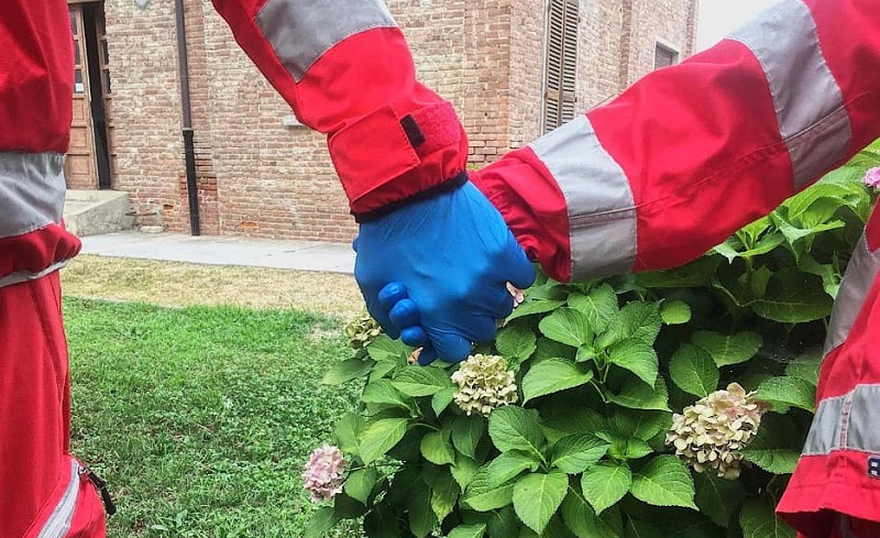 Nuovo Servizio Civile "Garanzia giovani" per la Croce Rossa di Racconigi