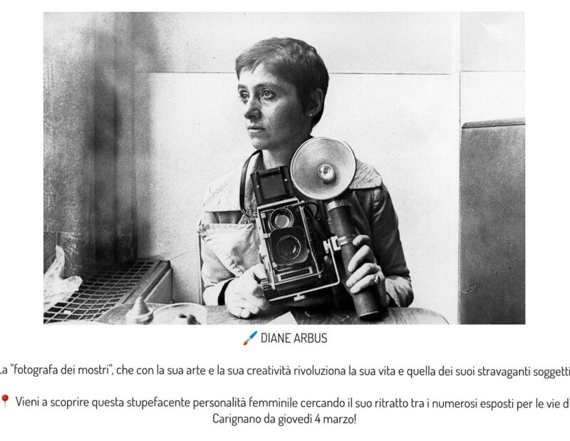 donneinsieme carignano mostra