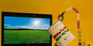 nucleare sogin consultazioni simboliche