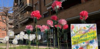 8 marzo 2021 carmagnola fiore dopo fiore