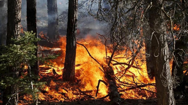 piemonte allerta incendi