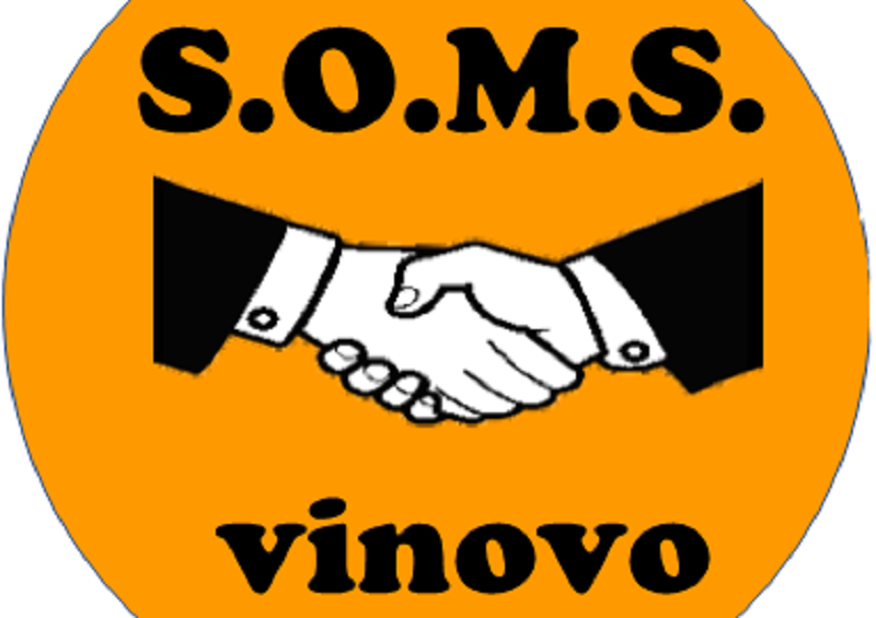 vinovo prenotazione vaccini