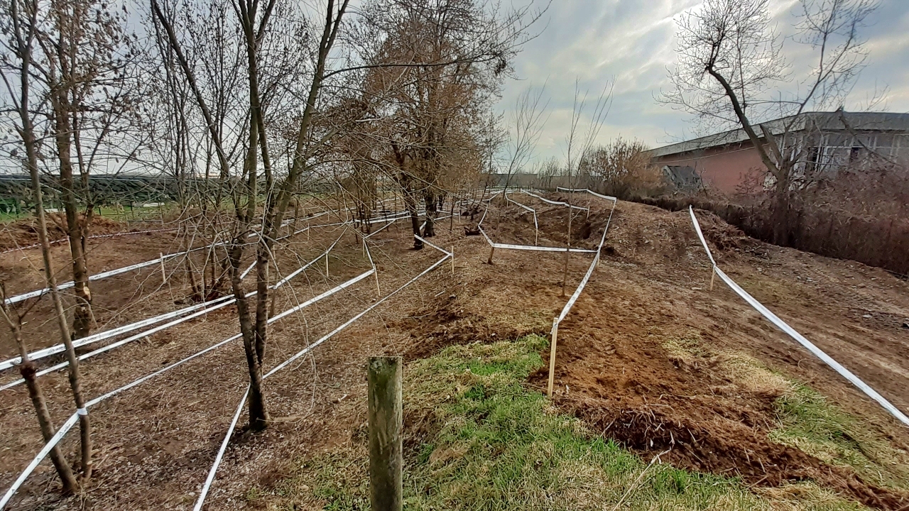 Rinasce la pista di Mountain Bike a Carmagnola, grazie al Team Sf Groppo