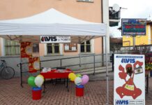 Ottimi risultati per il gruppo Avis di Piobesi Torinese nel 2025 AVIS Piobesi Torinese