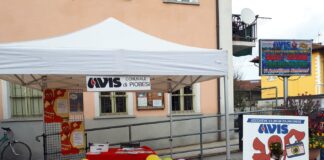 AVIS Piobesi Torinese