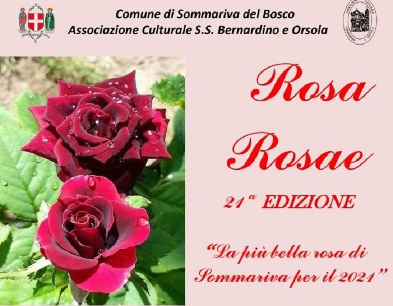 concorso rosa rosae Sommariva