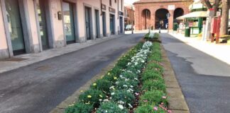 aiuole fiorite a Carmagnola