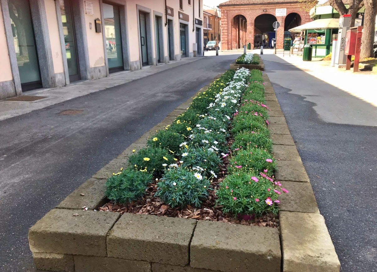 Aiuole fiorite a Carmagnola "come se ci fosse Ortoflora"