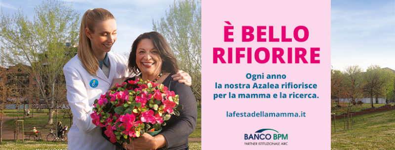 azalea ricerca cancro