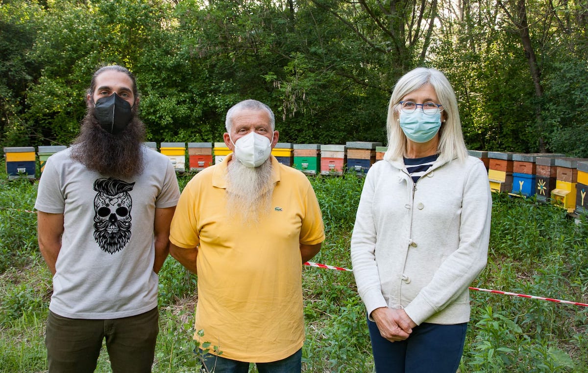 Arrivano le api al Bosco del Gerbasso di Carmagnola