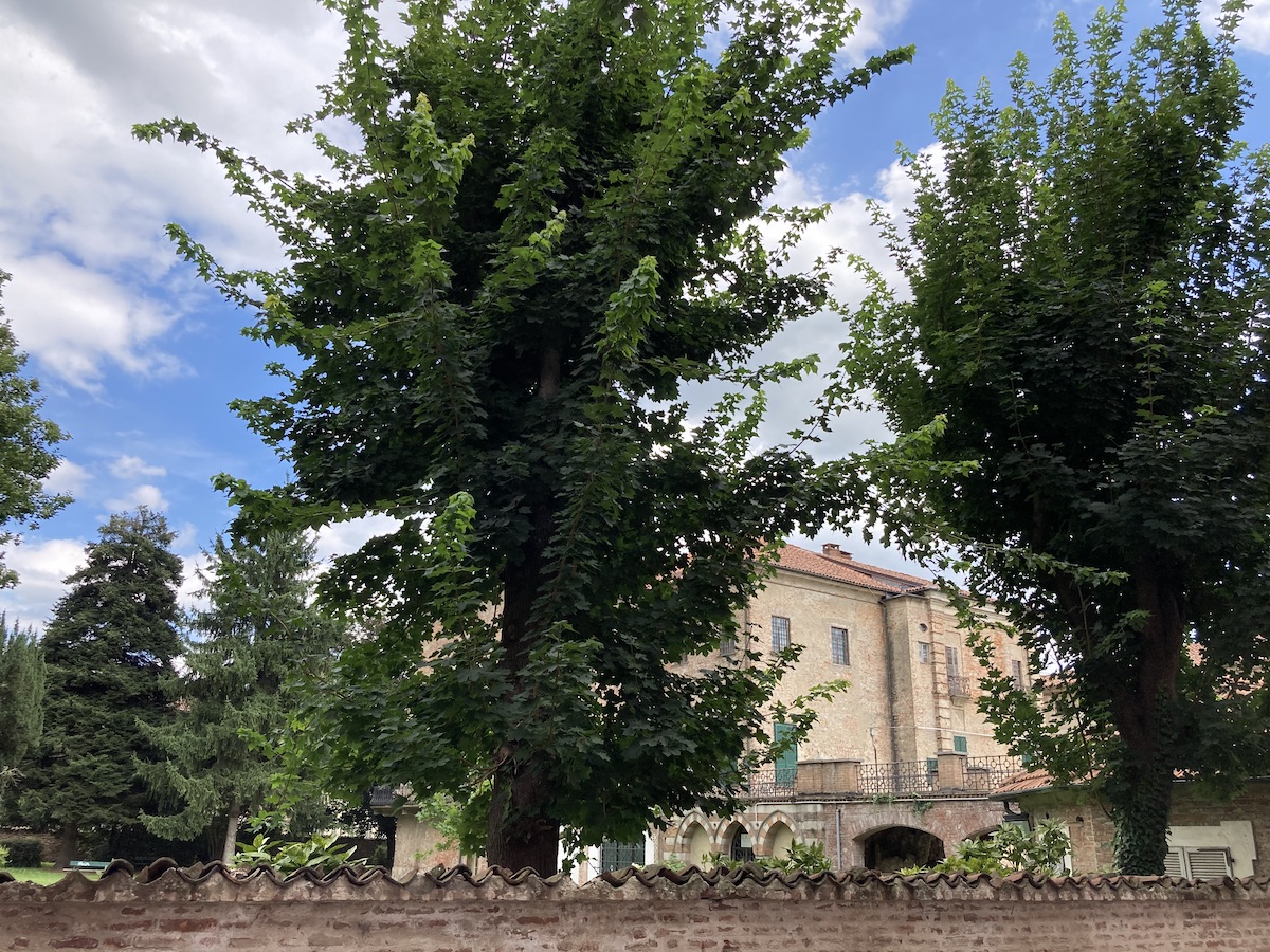Carmagnola e Carignano, convenzione sulla Commissione per il paesaggio