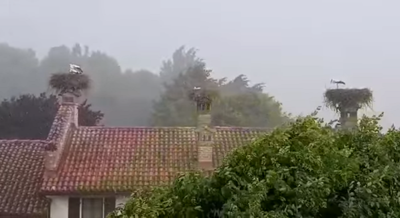 Nubifragio a Racconigi
