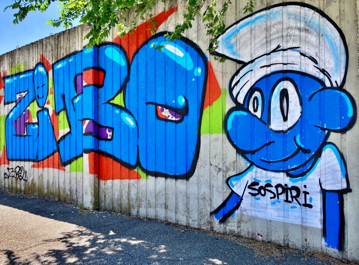 Street Art: i murales colorano il centro sportivo di Carmagnola