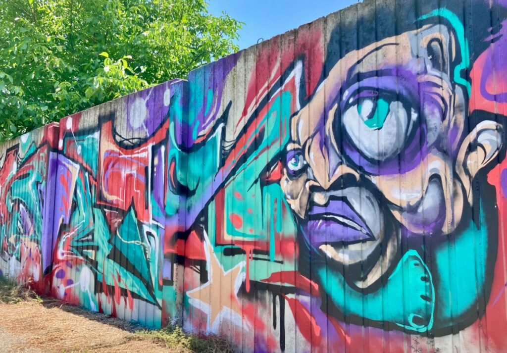 murales carmagnola