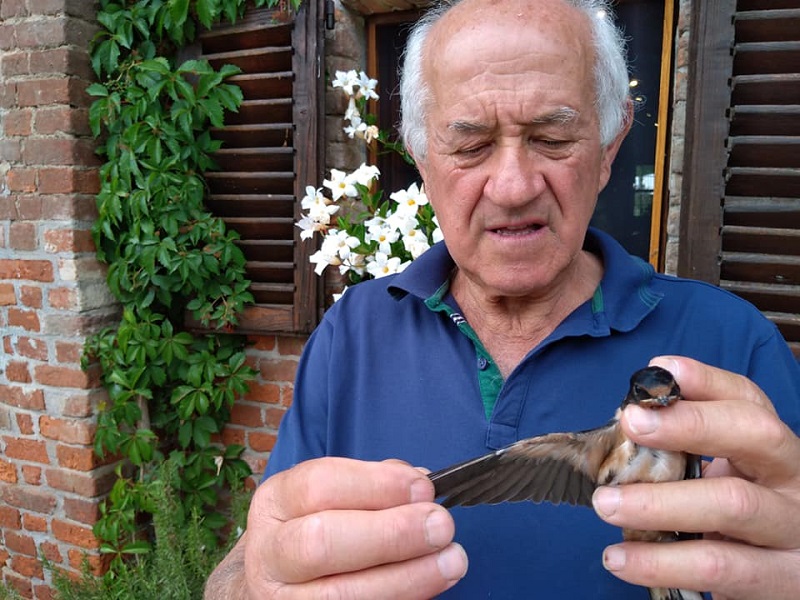 Carmagnola animali selvatici