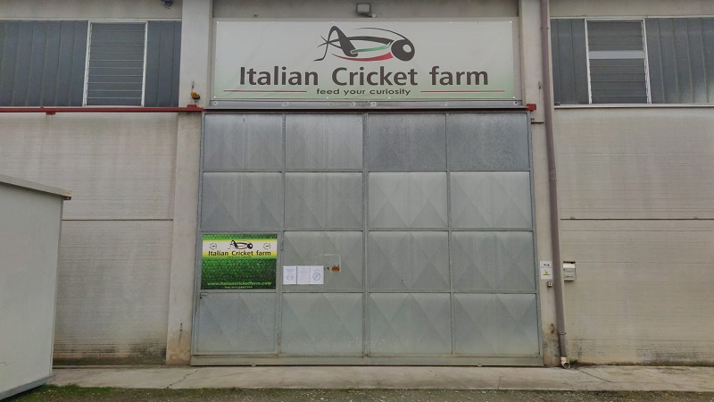 Italian Cricket Farm